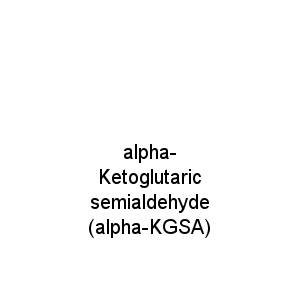 alpha-Ketoglutaric semialdehyde (alpha-KGSA)